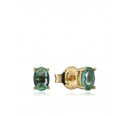 Pendientes de plata Viceroy Ref. 13129E100-52