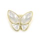 Broche de madreperla Luxenter Ref. SGBRZ1911500