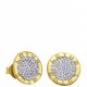 Pendientes chapados Lotus Silver Ref. LP1252-4/2