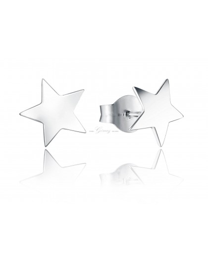 Pendientes Estrella de plata Viceroy Jewels Ref. 6008E000-00