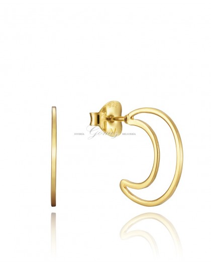Pendientes de plata chapada Viceroy Ref. 5042E100-06
